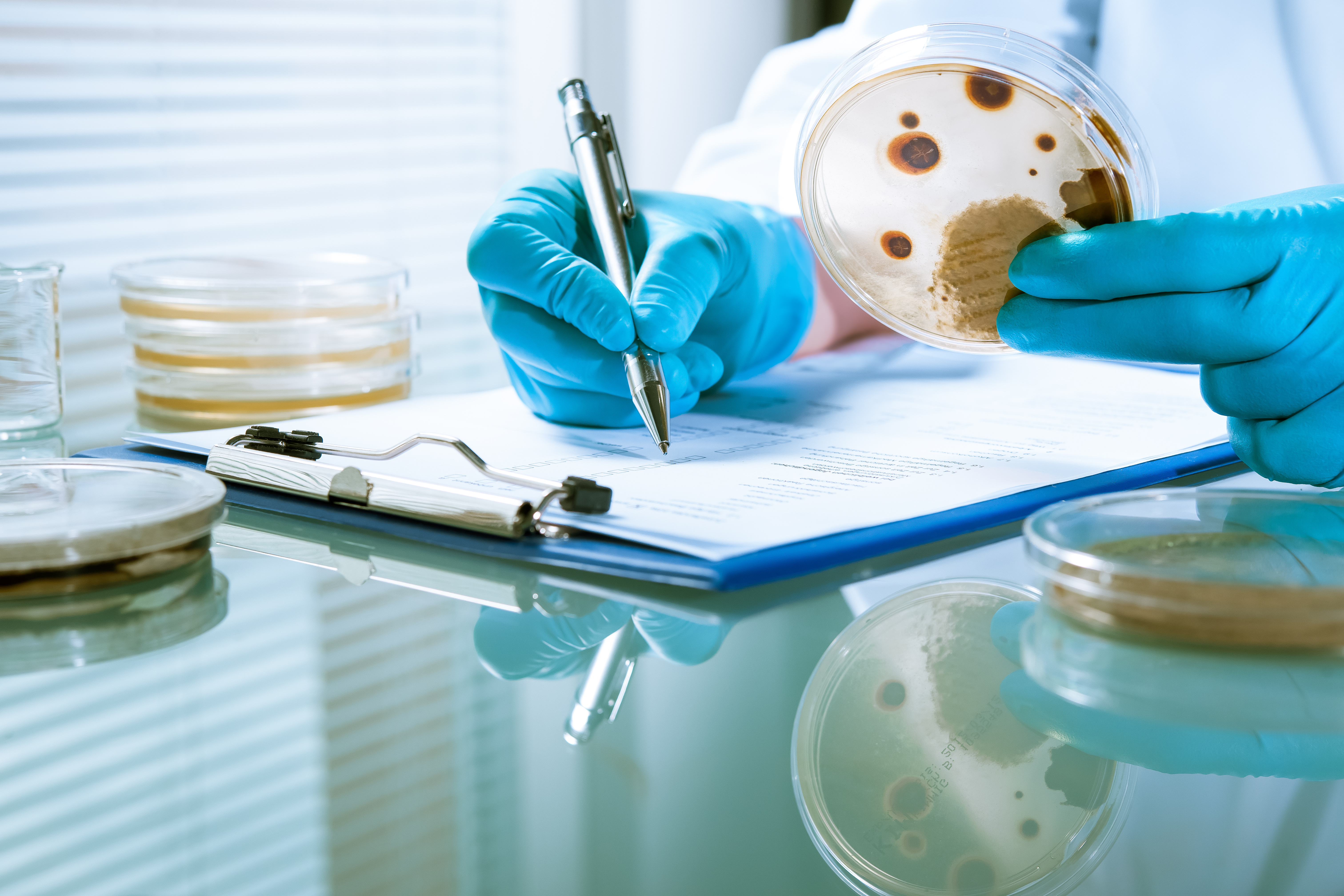 Comprehensive Mold Inspections