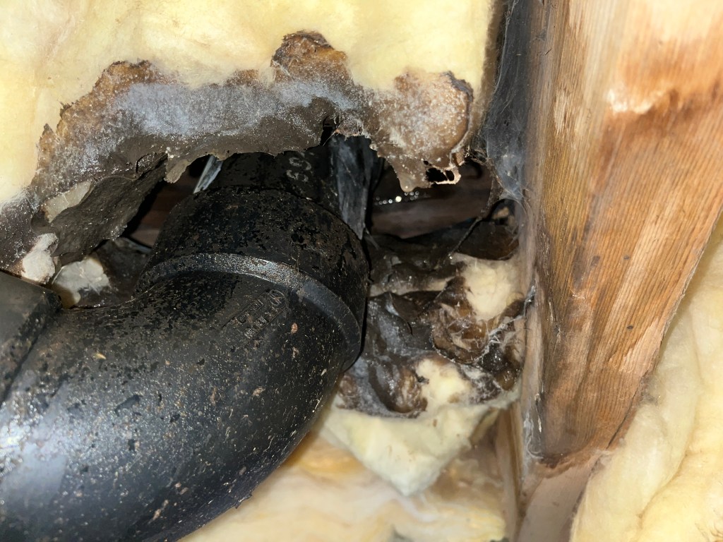 Moisture damage and wood rot around DWV plumbing line penetration through subfloor