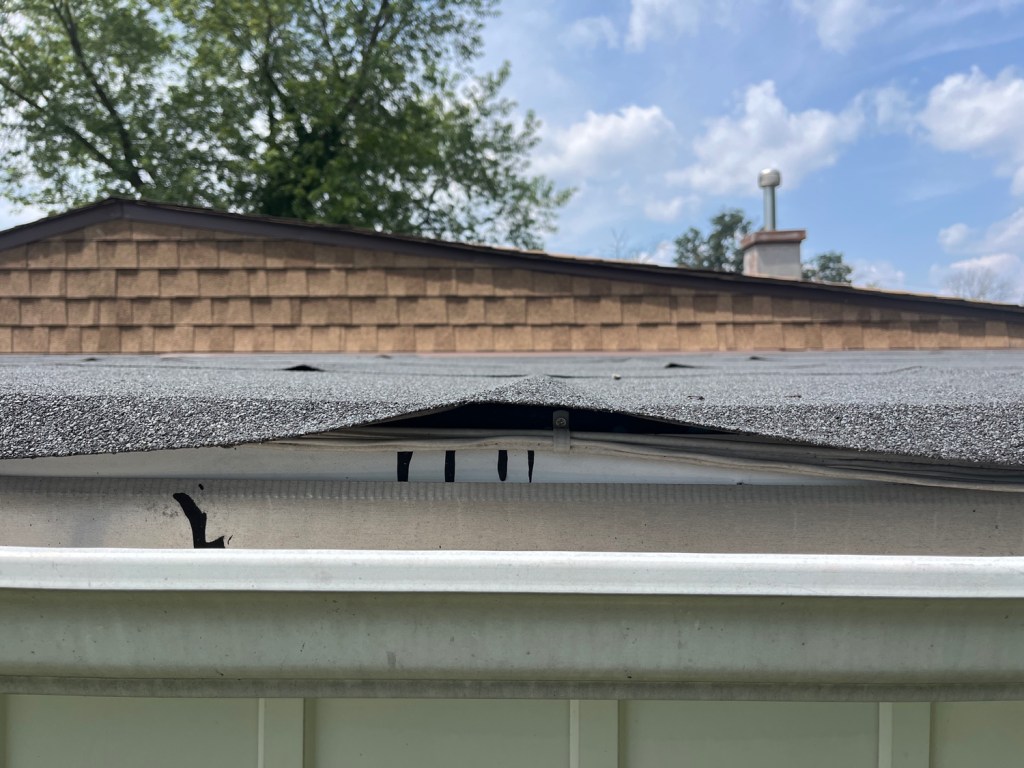 Lifted asphalt roof shingles at the eave indicating early-stage roof deterioration.