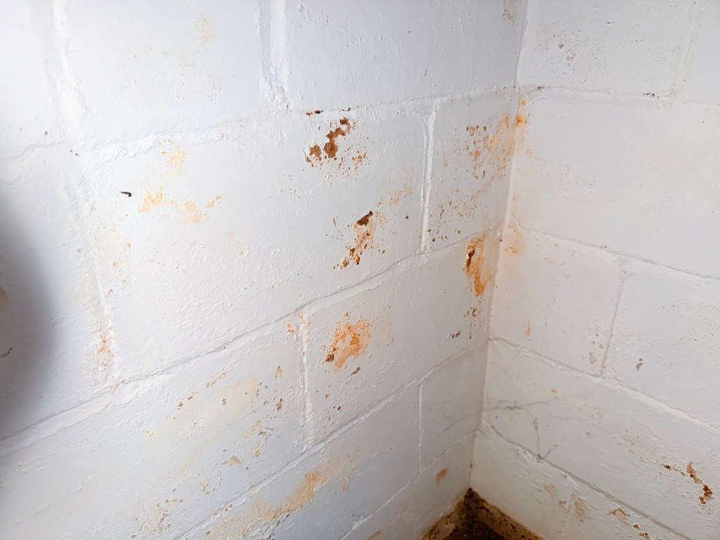 Rust staining on painted foundation wall caused by prolonged moisture exposure