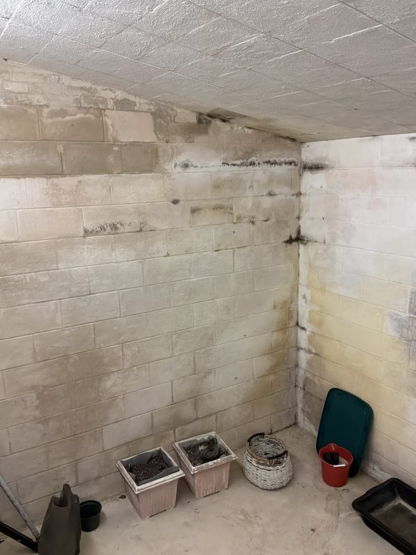 Foundation wall moisture staining and efflorescence observed during home inspection in New Jersey