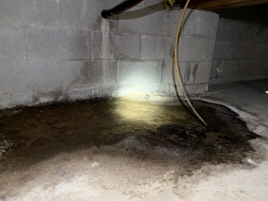 standing water crawlspace foundation wall water intrusion