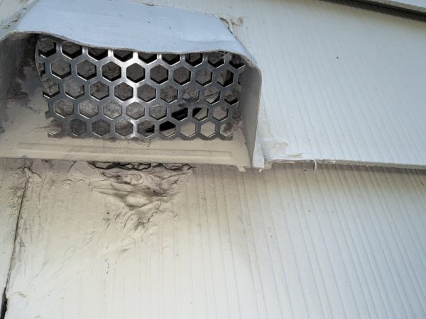 Lint buildup restricting a residential dryer vent termination