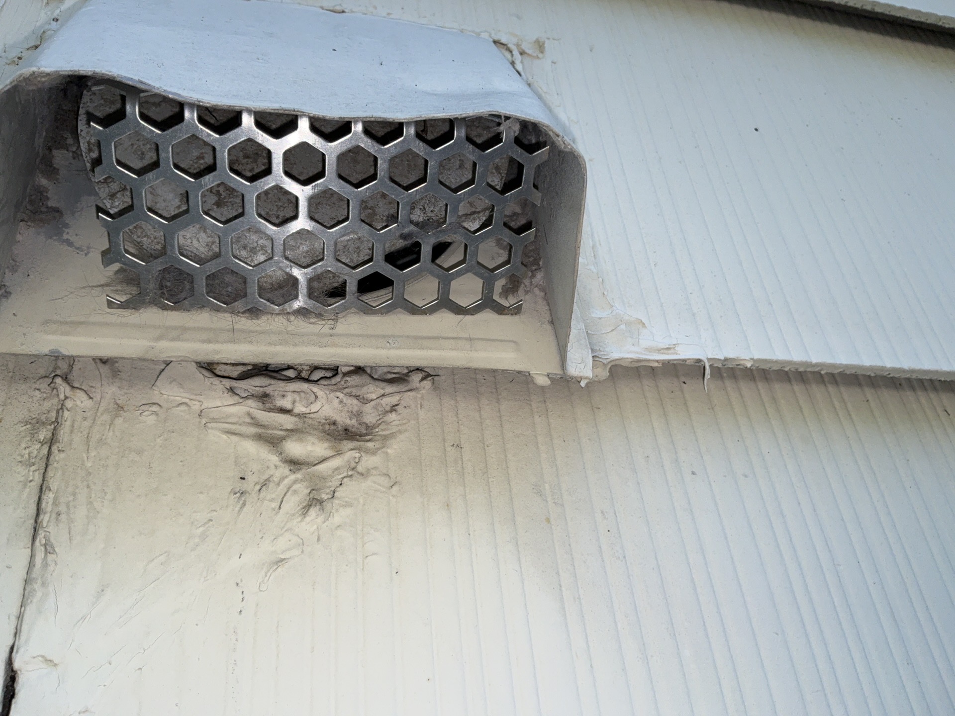 Lint buildup restricting a residential dryer vent termination